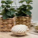 Przy Promenadzie Mistral Ii By Renters 아파트 슈비노우이스쳬